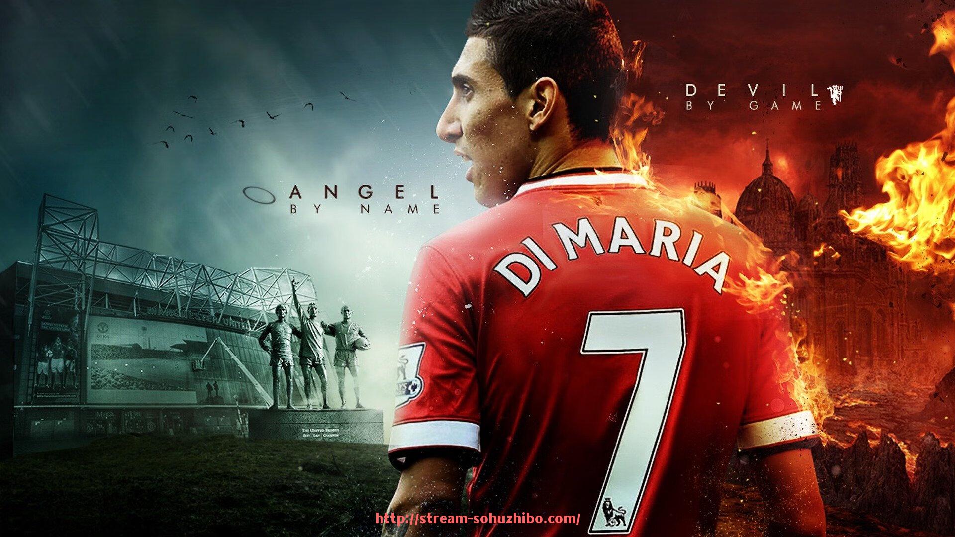 搜狐体育直播-如何调节健身器材的重量以达到最佳训练效果?